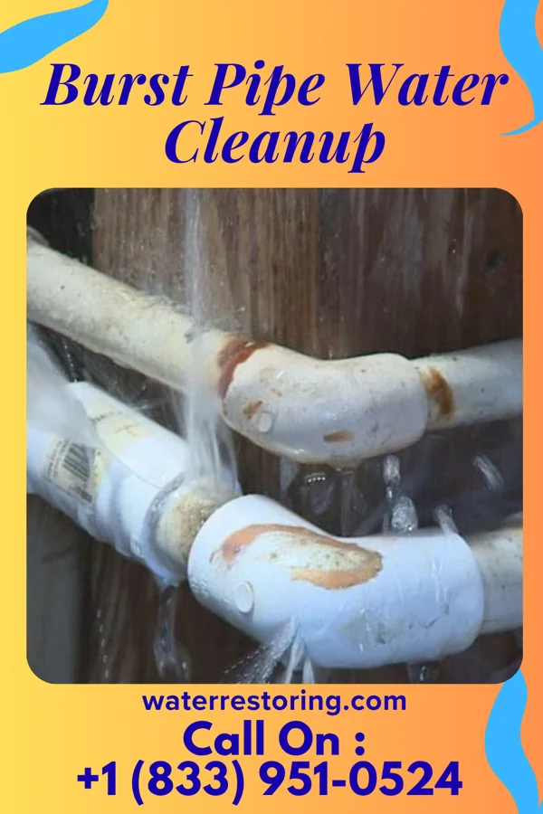 Burst Pipe Water Cleanup in Parkers Settlement, IN