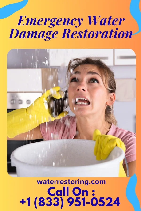Emergency Water Damage Restoration in Parkers Settlement, IN