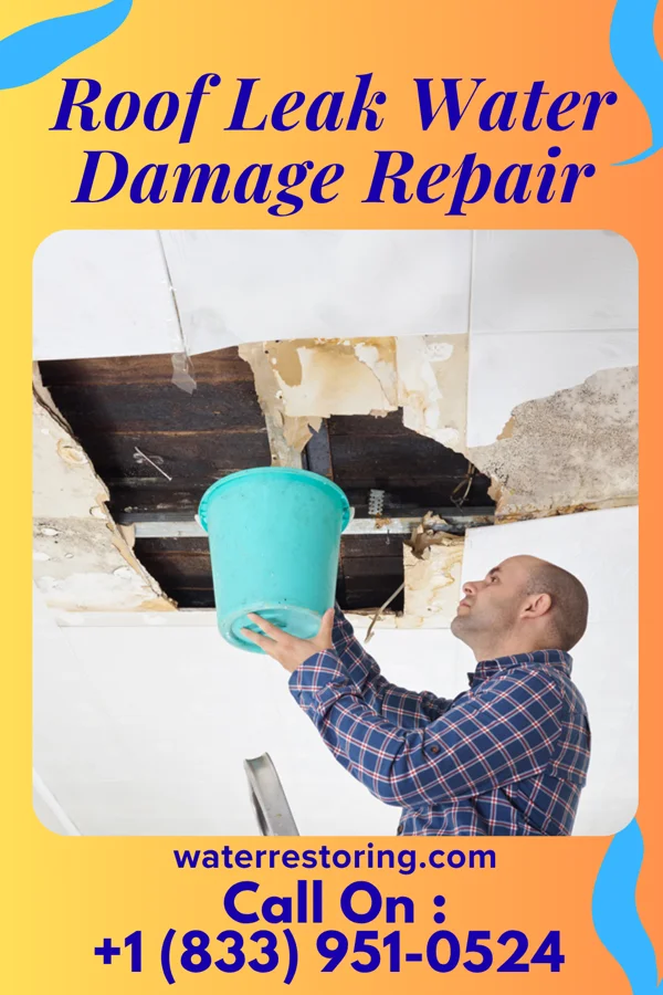 Roof Leak Water Damage Repair in Parkers Settlement, IN