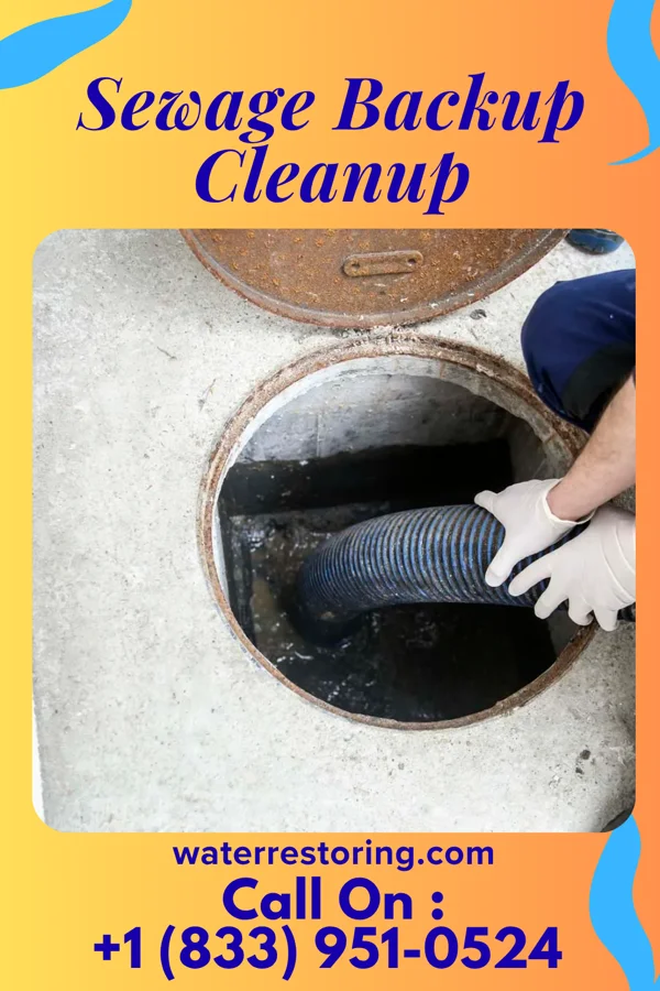 Sewage Backup Cleanup in Parkers Settlement, IN