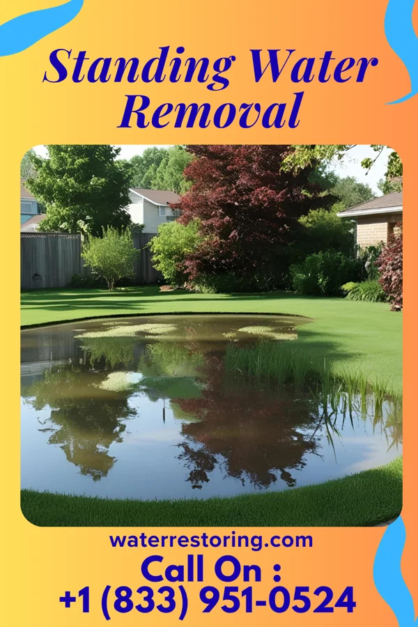 Standing Water Removal in Parkers Settlement, IN